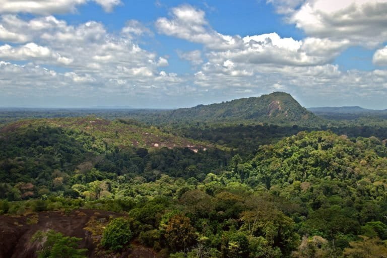 Surinam · Origen en la selva del Escudo Guayanés